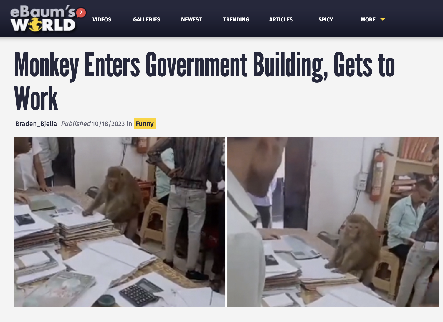 screenshot - eBaum's World Videos Galleries Newest Trending Articles Spicy More Monkey Enters Government Building, Gets to Work Braden Bjella Published 10182023 in Funny